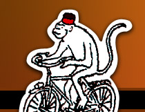 easy rider monkey